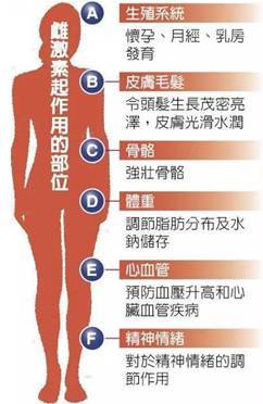 最全性激素六项检查指南,报告单该这样看!