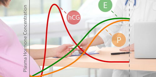 3种激素共同维持女性生殖系统功能,主导女性健康,不妨了解一下