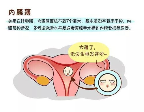 试管科普 子宫内膜薄能做试管婴儿吗