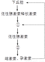右图为雌性高等动物性激素分泌的调节示意图.请据图回答问题. (1)性激素属于有机物中的 物质.性激素分泌活动的调节中枢是 . (2)促性腺激素可以调节② 的分泌活动. (3)雌激素能促进雌性生殖器官的发育和 的生成.还能激发和维持 . (4)孕激素能促进子宫内膜的生长发育.为 着床准备条件. (5)当血液中的雌激素和孕激素达到一定水平时 题目和参考答案
