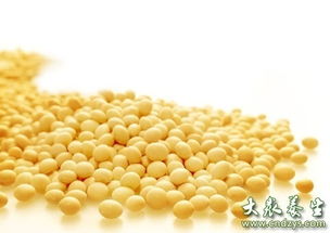 保护男人生命最重要的10种养生食物