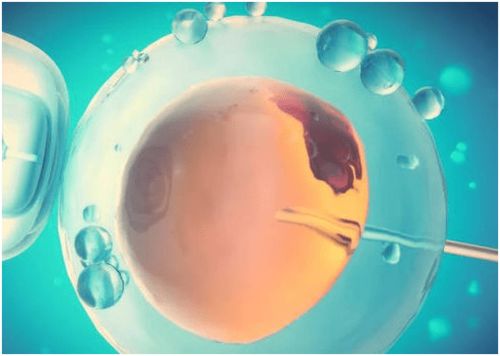 正经科普 fsh正常值是多少fsh低是什么问题