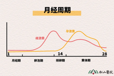生理期情绪如“过山车”？生殖激素在背后捣乱