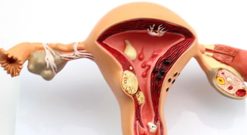 女人怀孕后，姨妈去哪儿了？了解生殖激素，感动生命的奇妙旅程