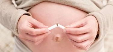 提升卵子质量 生殖激素的关键作用与应对策略