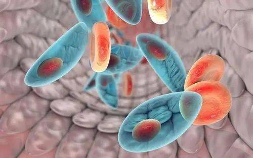 困扰多年的生殖器溃疡，竟是因为生殖激素失衡