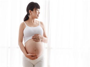 试管婴儿为何也会发生宫外孕？医生解析与生殖激素的作用